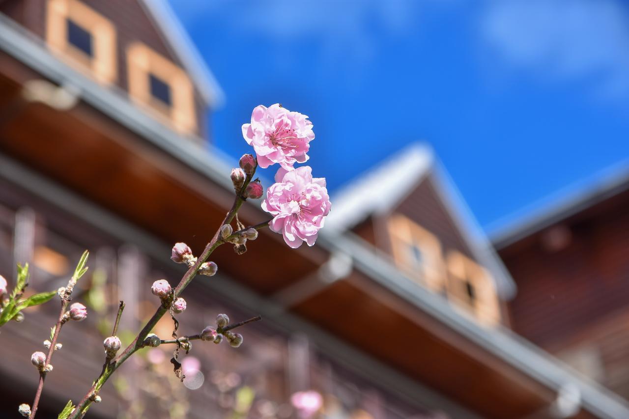 Beverly B&B Renai Exterior photo